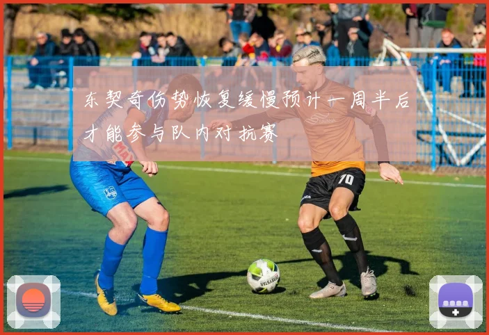 东契奇伤势恢复缓慢预计一周半后才能参与队内对抗赛