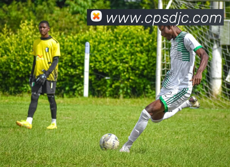 App Interface Preview