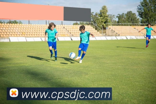 九游体育app登录入口APP 封面图